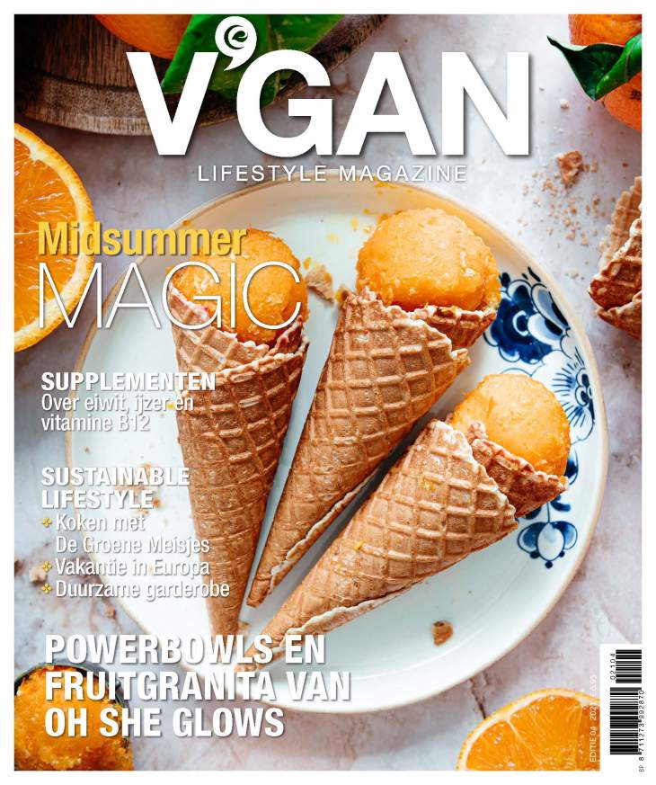 V'GAN Lifestyle Magazine 04 2020