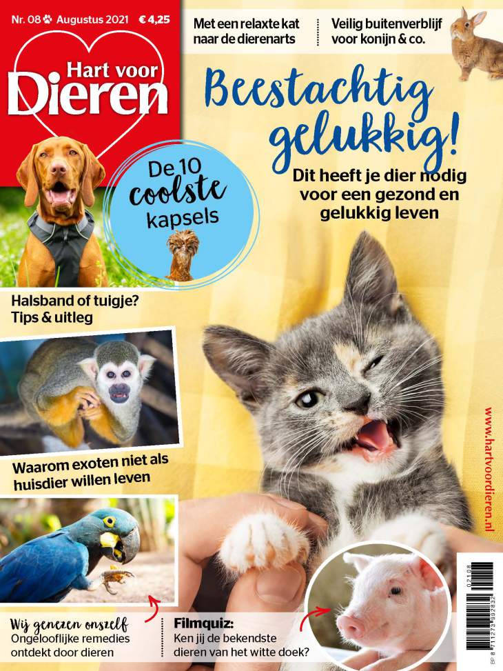 Hart voor Dieren 08 2021