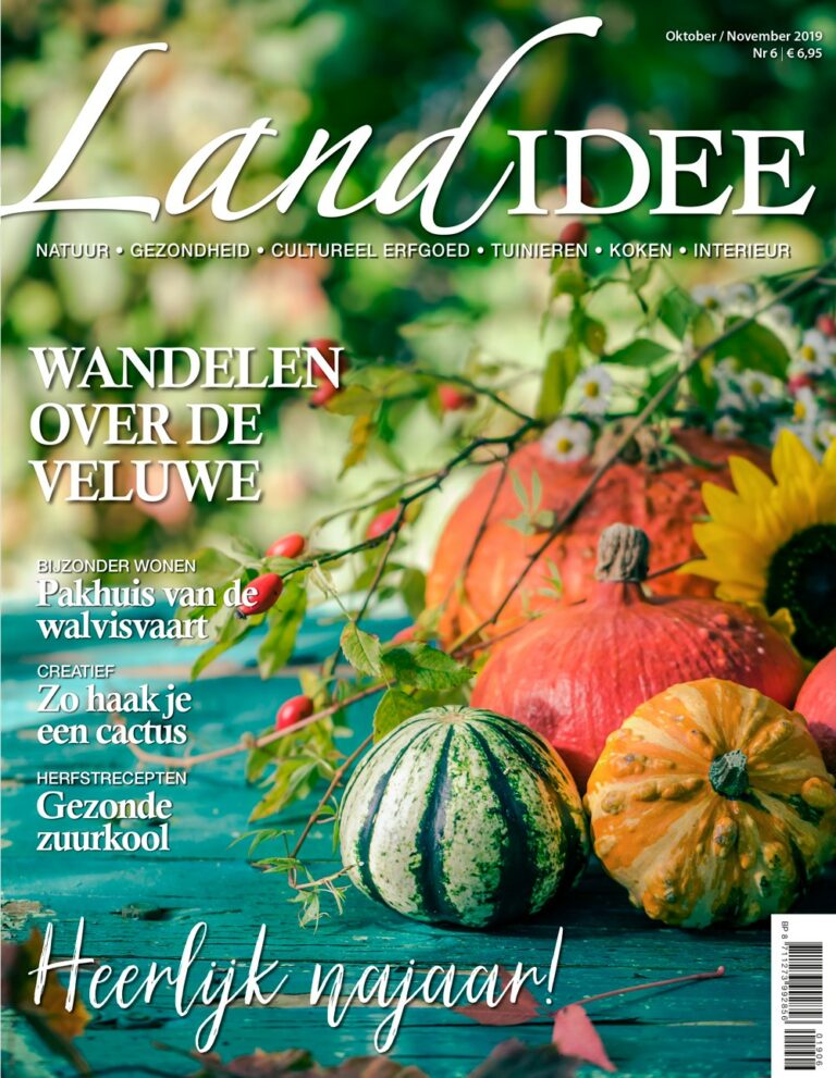 Landidee 06 2019