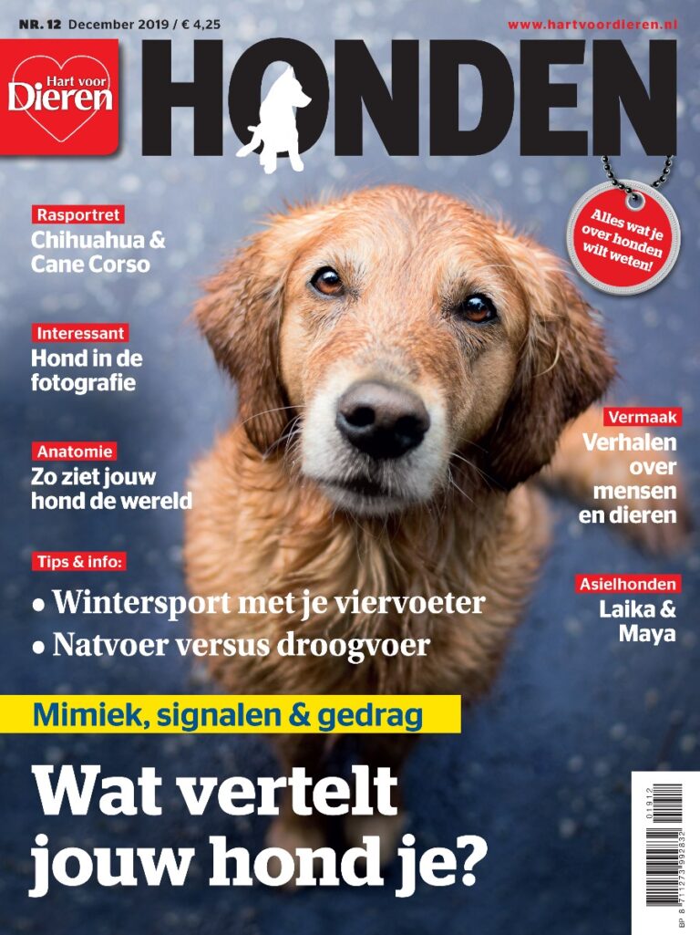 Hart voor Dieren 12 2019
